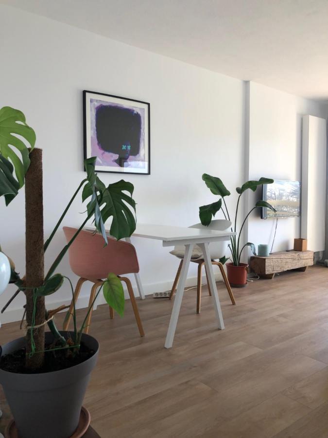 Appartement Biarritz Sud エクステリア 写真